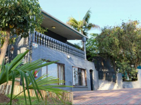 Casa Palmeira